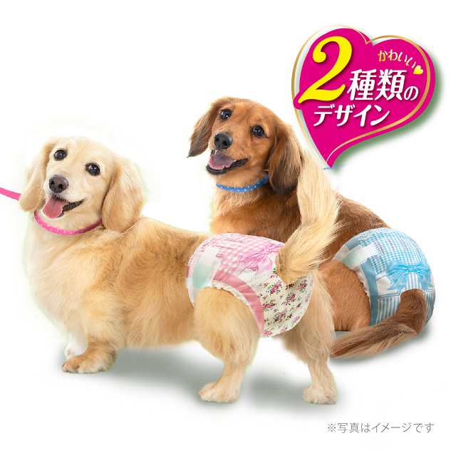 18種類から1セット選択] 犬用オムツ マナーウェア 2個セット 男の子用