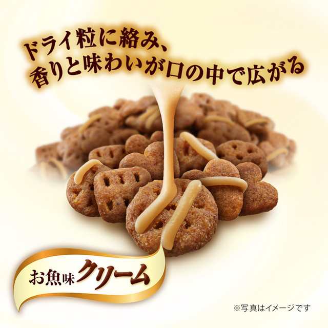 銀のスプーン 三ツ星グルメお魚味クリームお魚・鶏ささみレシピ3種の