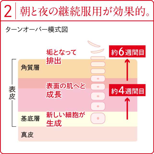 第3類医薬品 ハイチオールCホワイティア120錠 2個セット エスエス製薬