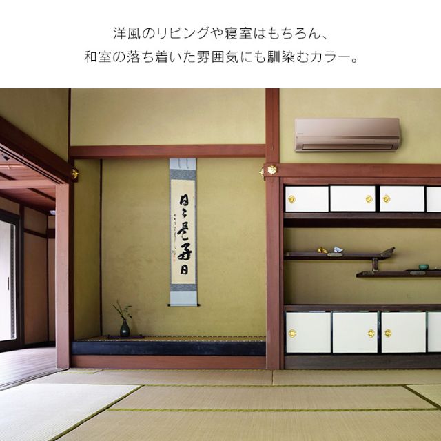 エアコン 6畳 2.2kW  IRA-2221G アイリスオーヤマ アイリス