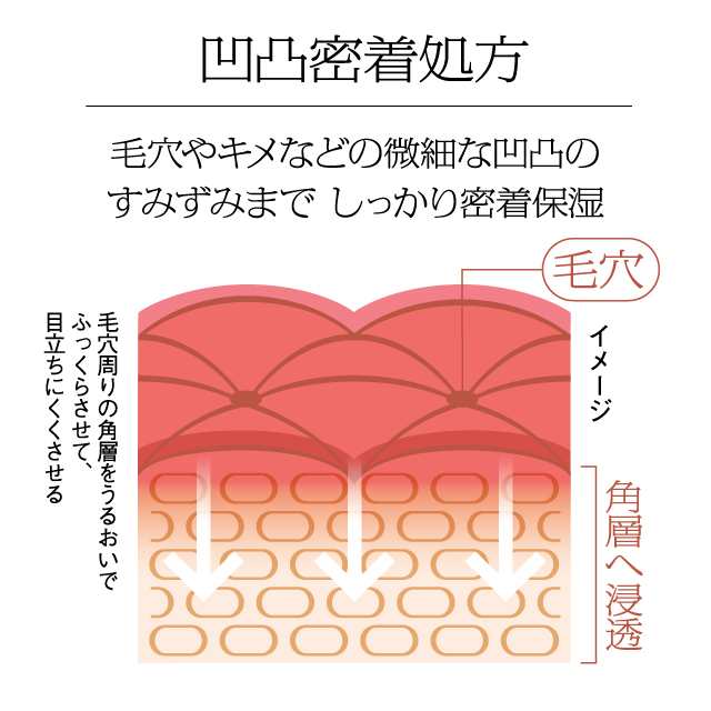 ソフィーナ iP ハリ弾力注入美容液 40g + レフィル 40g 花王