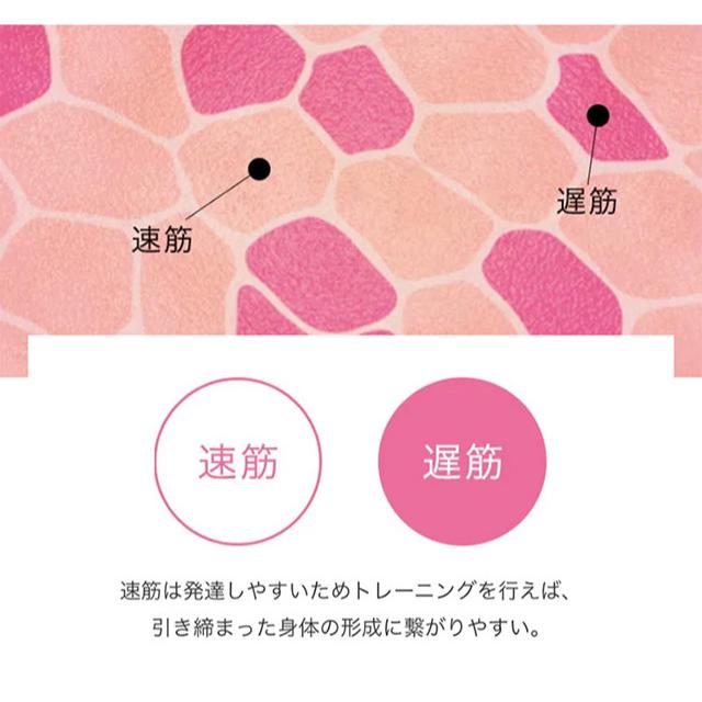 3個セット】 SIXPAD Body Fit シックスパッド ボディフィット SP