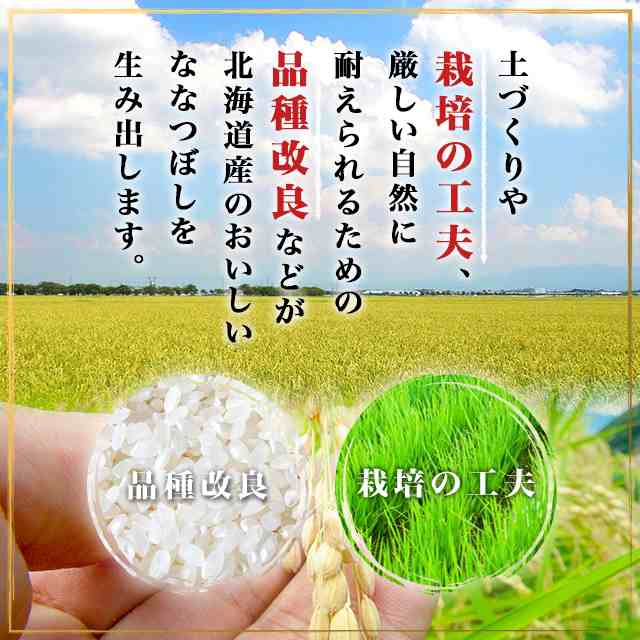 新米 令和5年産 お米 精白米 北海道産 ななつぼし 10kg（5kg×2袋) / ブランド米 米 国内産｜au PAY マーケット