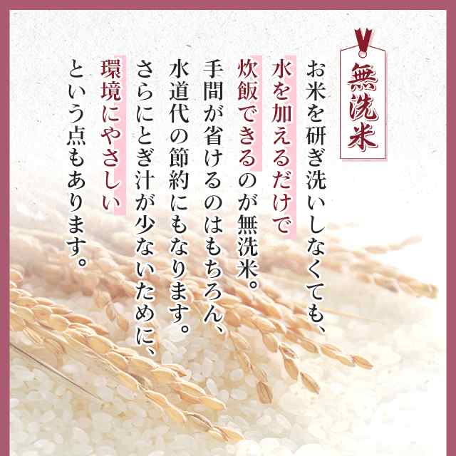 新米 令和5年産 お米 北海道産 ゆめぴりか 無洗米 10kg （5kg×2袋