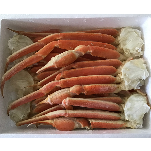 かに カニ 蟹 蟹奉行 ボイル 本ずわいがに（セクション）1kg（5肩前後