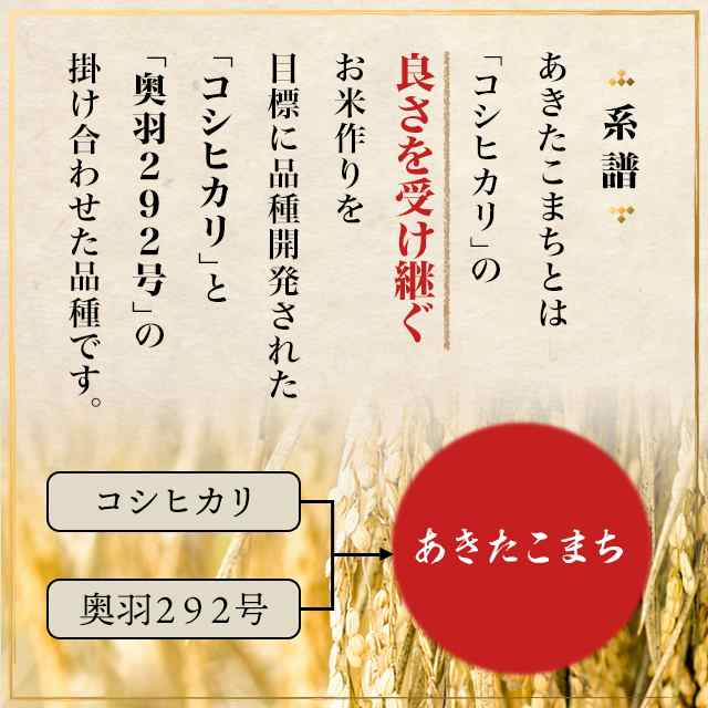 お米 秋田県産 あきたこまち 精白米 10kg(5kg×2袋)令和6年産 お米 秋田県産 あきたこまち 精白米 10kg(5kg×2袋)令和6年産