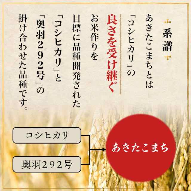 新米 令和5年産 お米 秋田県産 あきたこまち 精白米 10kg（5kg×2袋）/ ブランド米 米 国内産 秋田産｜au PAY マーケット