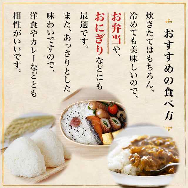 お米 秋田県産 あきたこまち 精白米 10kg（5kg×2袋）令和6年産