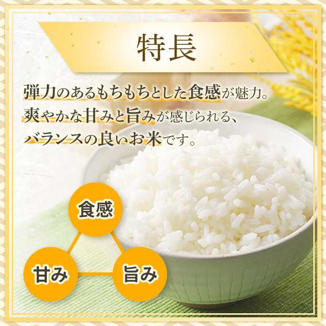 令和4年度産 彩のきずな 10キロ-③