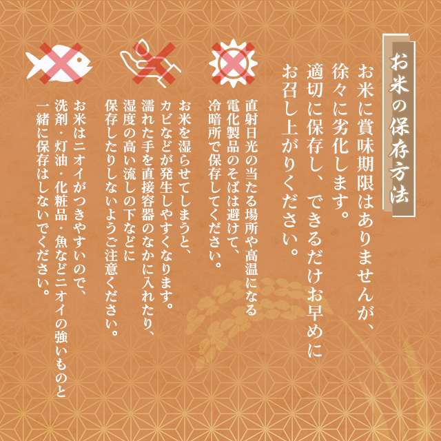 お米 茨城県産 こしひかり 精白米 10kg（5kg×2袋） 令和6年産 / ブランド米 米 国内産 茨城産 の通販は