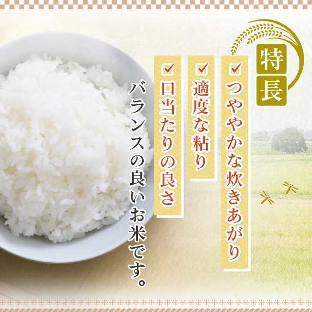 お米 鳥取県産 ひとめぼれ 精白米 10kg（5kg×2袋）令和5年産 / ブランド米 米 国内産 鳥取産｜au PAY マーケット