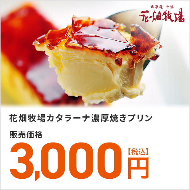 スイーツ 花畑牧場 カタラーナ濃厚焼きプリン 1kg 北海道の通販はau Pay マーケット Au Pay マーケット ダイレクトストア