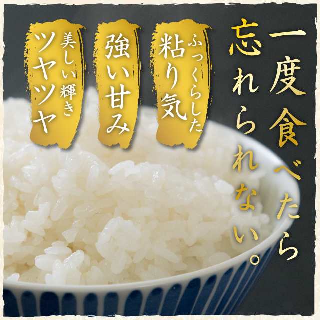 新米 令和5年産 お米 新潟県産棚田米 こしひかり 精白米 10kg（5kg×2袋