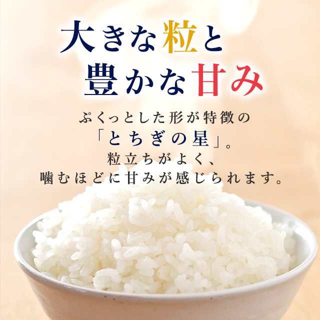 新米 令和5年産 お米 栃木県産 とちぎの星 10kg（5kg×2袋）/ ブランド米 米 国内産 栃木産 ｜au PAY マーケット