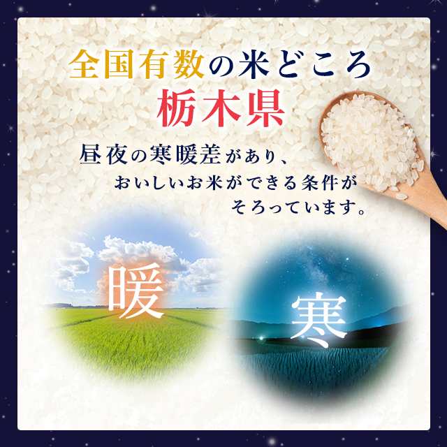 お米 栃木県産 とちぎの星 10kg（5kg×2袋） 令和5年産 / ブランド米 米 国内産 栃木産の通販はau PAY マーケット - au PAY  マーケット ダイレクトストア | au PAY マーケット－通販サイト