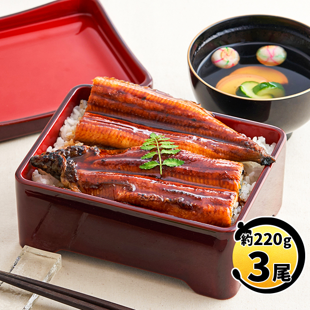 鹿児島県産 うなぎ蒲焼き 特々大3尾（約220g×3尾・タレ・山椒付き）