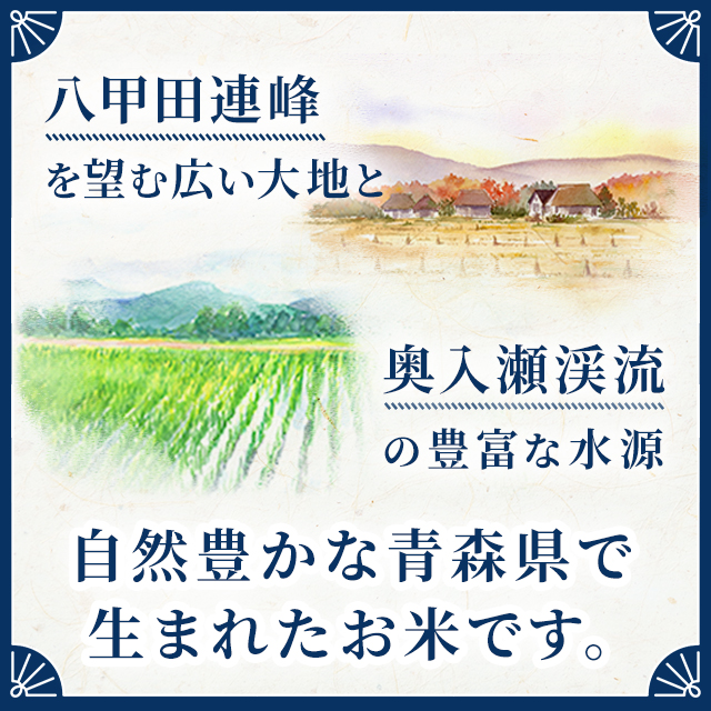 お米 青森県産 まっしぐら 精白米 10kg 令和7年産 / ブランド米 米 国内産 青森産