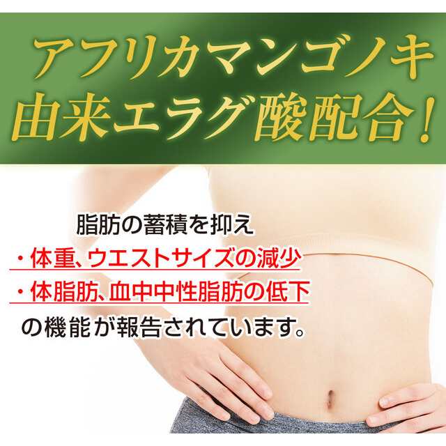 送料込み ダイエットのみかた 31日分 62粒 リフレ 機能性表示食品 サプリメント 健康食品 エラグ酸 ダイエットサプリ｜au PAY マーケット