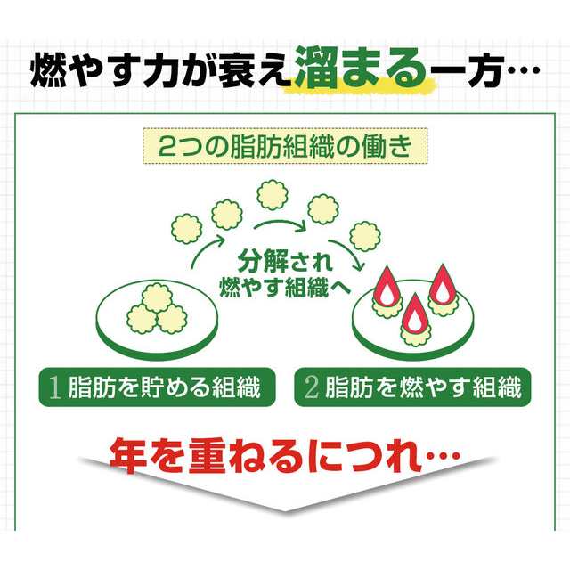 送料込み ダイエットのみかた 31日分 62粒 リフレ 機能性表示食品