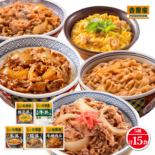 牛丼の具 大盛り 15食入 お家で簡単に本格味 野菜もお肉も具だ