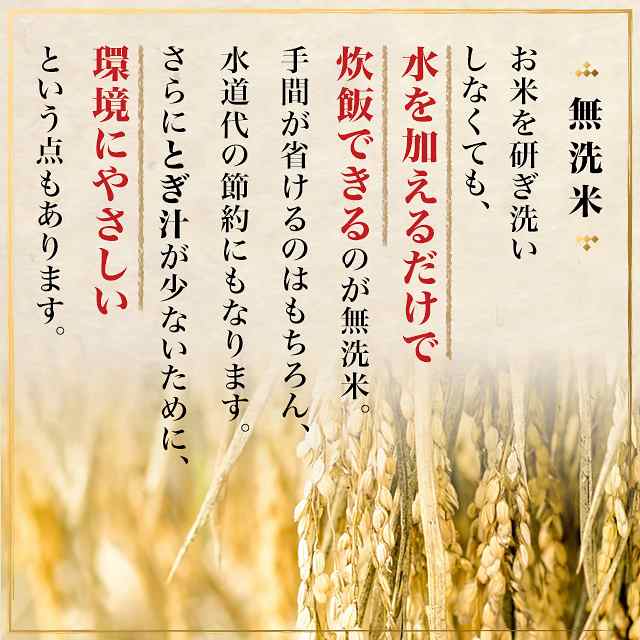 新米 令和5年産 お米 秋田県産 あきたこまち 無洗米 10kg（5kg×2袋