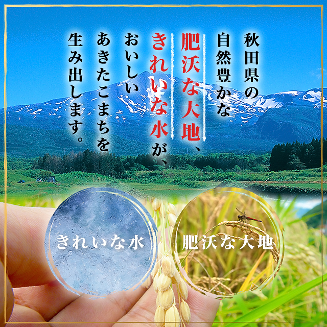 【10％OFFクーポン配布中】 お米 秋田県産 あきたこまち 無洗米 10kg（5kg×2袋） 令和7年産/ ブランド米 米 国内産 秋田産 全農パールライス_4