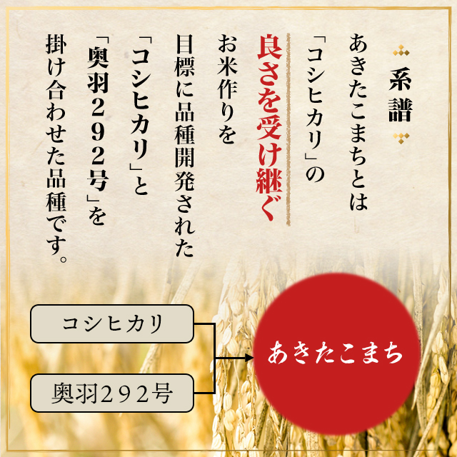 【10％OFFクーポン配布中】 お米 秋田県産 あきたこまち 無洗米 10kg（5kg×2袋） 令和7年産/ ブランド米 米 国内産 秋田産 全農パールライス_3