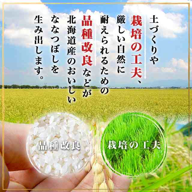 お米 北海道産 ななつぼし 無洗米 10kg(5kg×2袋)令和6年産 お米 北海道産 ななつぼし 無洗米 10kg(5kg×2袋)令和6年産