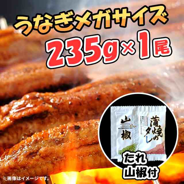 鹿児島県産 国産 うなぎメガサイズ 235g×1尾（たれ山椒付） ウナギ 鰻 