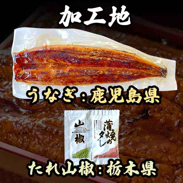 鹿児島県産 国産 うなぎメガサイズ 235g×1尾（たれ山椒付） ウナギ 鰻 