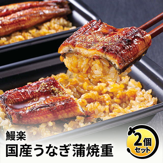 鰻楽 国産うなぎ蒲焼重 2個(計380g)ウナギ 鰻 お取り寄せの通販はau PAY マーケット - au PAY マーケット ダイレクト ...