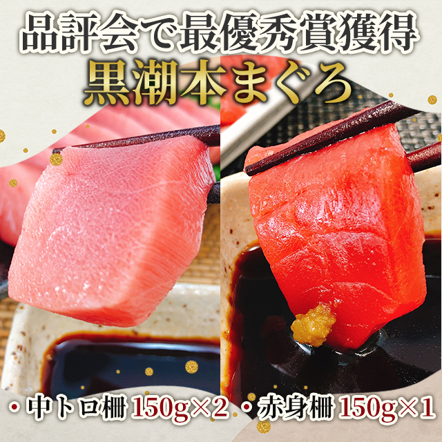 マグロ 国産  高知県大月町産 黒潮の本まぐろ(養殖：2種) まぐろ 鮪 お刺身 手巻き寿司 鮨_1