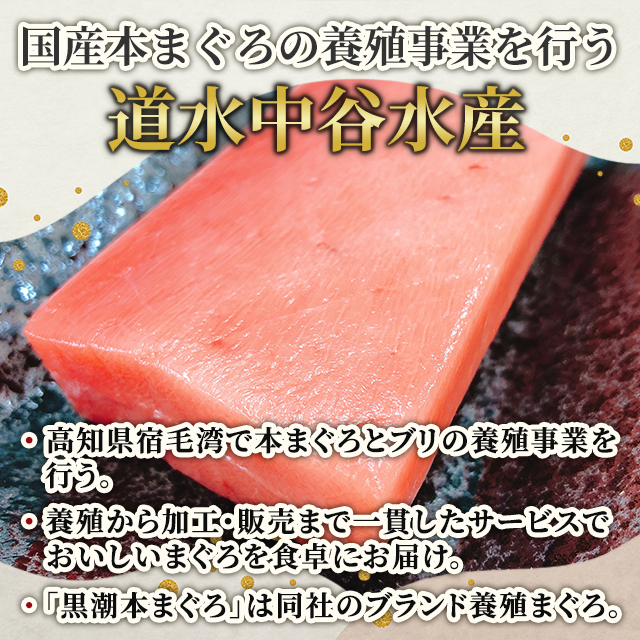 マグロ 国産  高知県大月町産 黒潮の本まぐろ(養殖：2種) まぐろ 鮪 お刺身 手巻き寿司 鮨_4