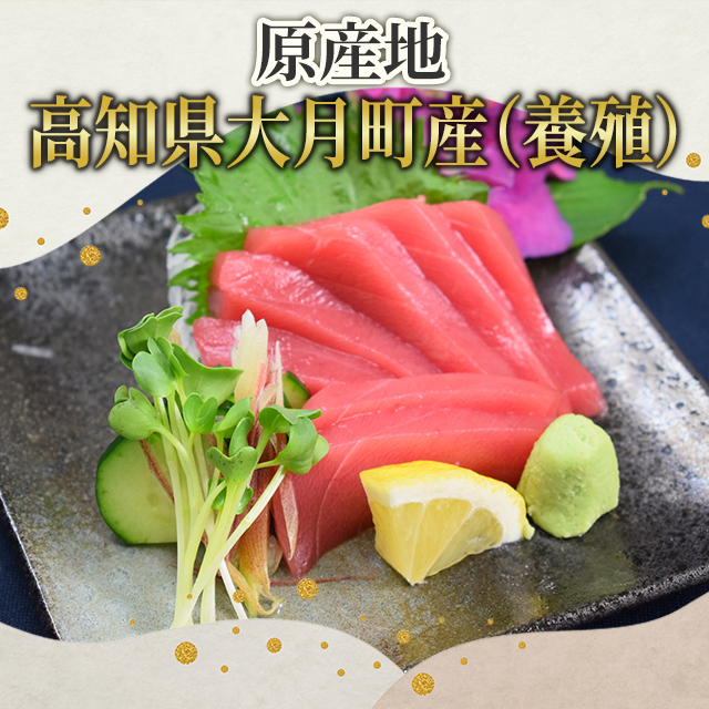 マグロ 国産  高知県大月町産 黒潮の本まぐろ(養殖：2種) まぐろ 鮪 お刺身 手巻き寿司 鮨_3