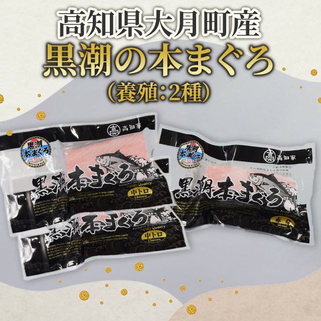 マグロ 国産  高知県大月町産 黒潮の本まぐろ(養殖：2種) まぐろ 鮪 お刺身 手巻き寿司 鮨_2