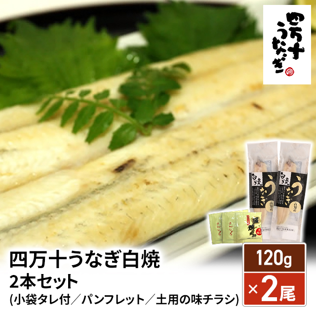 うなぎ 国産 四万十 うなぎ白焼 2本セット(小袋タレ付／パンフレット／土用の味チラシ) 120g×2尾 ウナギ 鰻 土用 丑の日 ひつまぶし お取り寄せ 人気 定番 丑