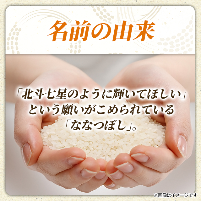 お米 北海道産 ななつぼし 無洗米 30kg （5kg×6袋） 令和7年産 / ブランド米 米 国内産_3