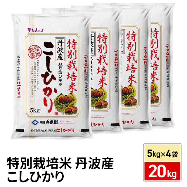 お米 特別栽培米 丹波産 こしひかり 精白米 20kg（5kg×4袋）令和7年産 / ブランド米 米 国内産