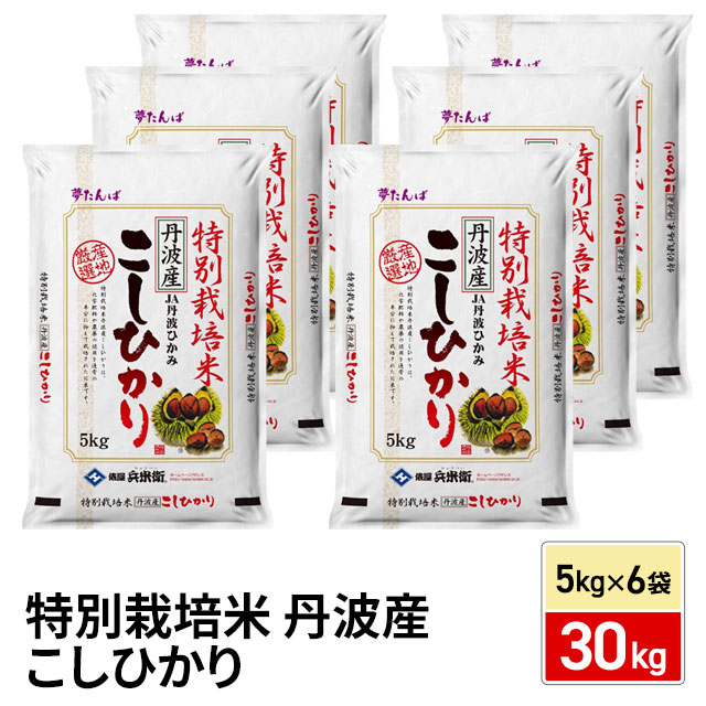 お米 特別栽培米 丹波産 こしひかり 精白米 30kg（5kg×6袋） 令和7年産