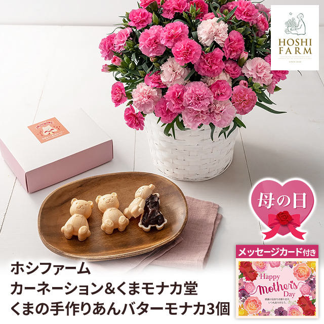 母の日 予約販売 ホシファーム カーネーション＆くまモナカ堂 くまの