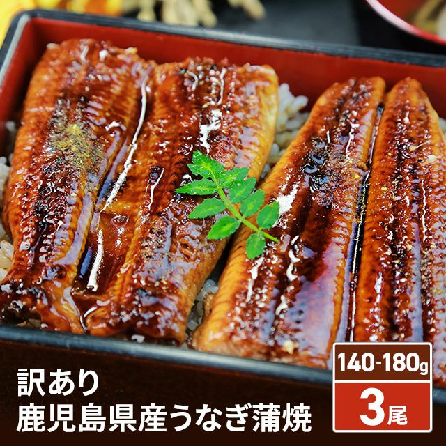 訳あり 鹿児島県産うなぎ蒲焼 3尾 (タレ・山椒付) 140-180g／尾×3尾 鰻 ウナギ お取り寄せ 人気 定番