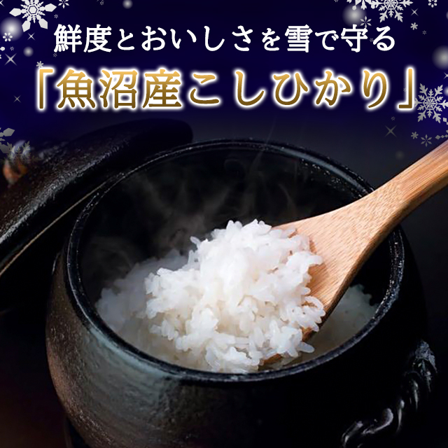 お米 雪温精法 魚沼産こしひかり（窒素充填包装） 5kg 令和7年産