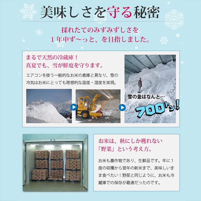 お米 雪温精法 魚沼産こしひかり（窒素充填包装） 5kg 令和7年産