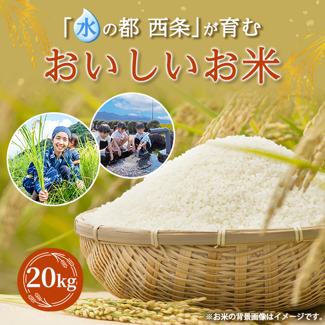 お米 精白米 愛媛県西条市産 水の都米 20kg（5kg×4袋） ※動画で産地公開中 / ブレンド米 米 国内産 愛媛産_2