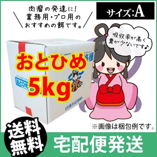 メーカー直送 日清丸紅飼料おとひめa5kg メダカのごはん 稚魚の餌 グッピーのエサ 金魚小屋 希 福岡 の通販はau Pay マーケット ふれん豆