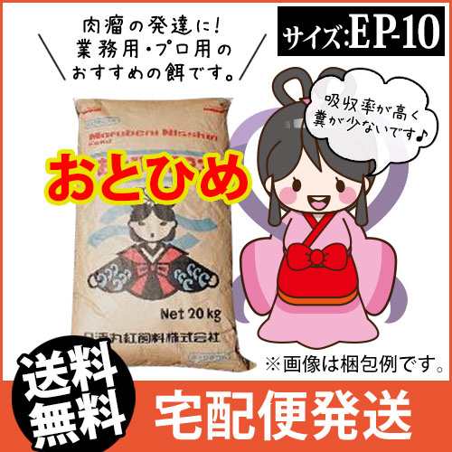 メーカー直送 日清丸紅飼料おとひめep10 沈降性 kg コイのごはん 熱帯魚の餌 アロワナのエサ 金魚小屋 希 福の通販はau Pay マーケット ふれん豆