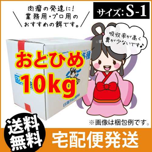 メーカー直送 日清丸紅飼料おとひめs1 沈降性 10kg コイのごはん 熱帯魚の餌 アロワナのエサ 金魚小屋 希 福岡の通販はau Pay マーケット ふれん豆