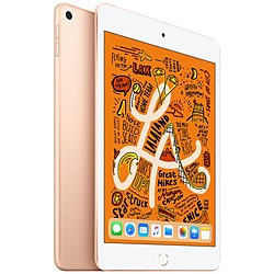 受発注品 ()Apple iPad mini 第5世代 64GB ゴールド MUQY2J/A Wi-Fi