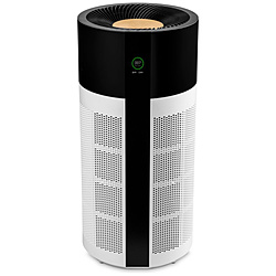 (中古)DUUX (展示品) duux Tube(チューブ) 空気清浄機 ホワイト DXPU03(348-ud)