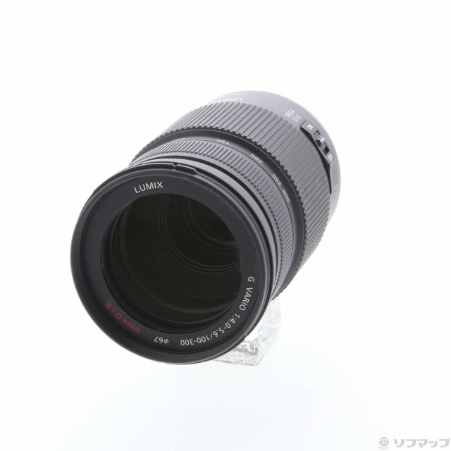 Panasonic LUMIX H-FS100300 (G VARIO F4.0-5.6 100-300mm)(レンズ)-